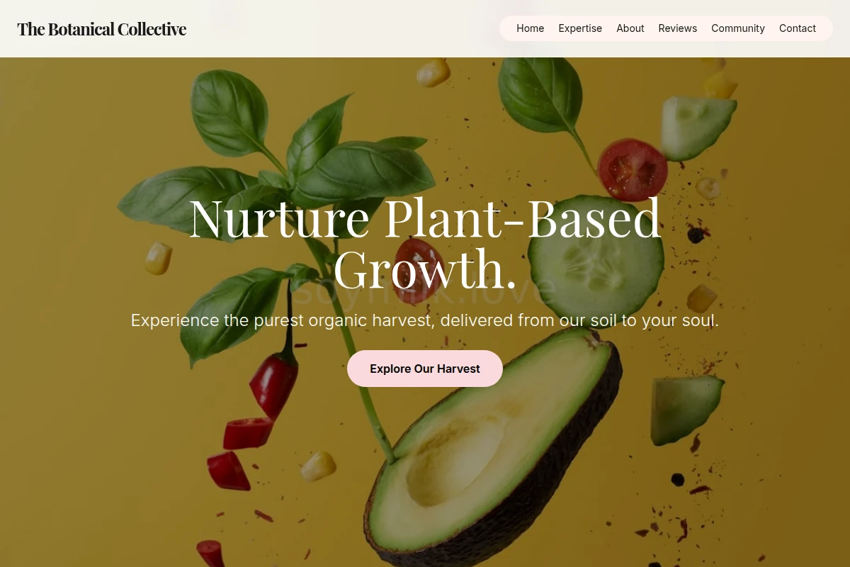 Grain Organic Food