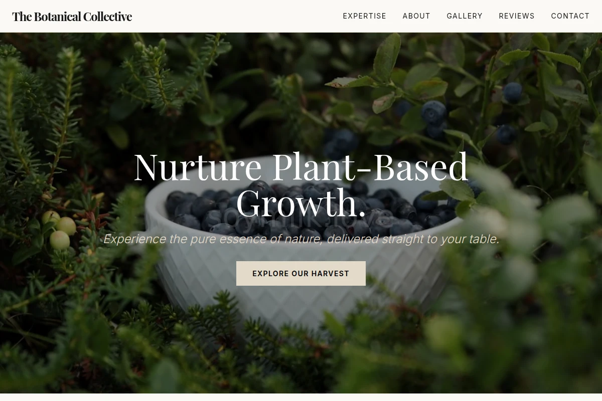 Savor Organic Food
